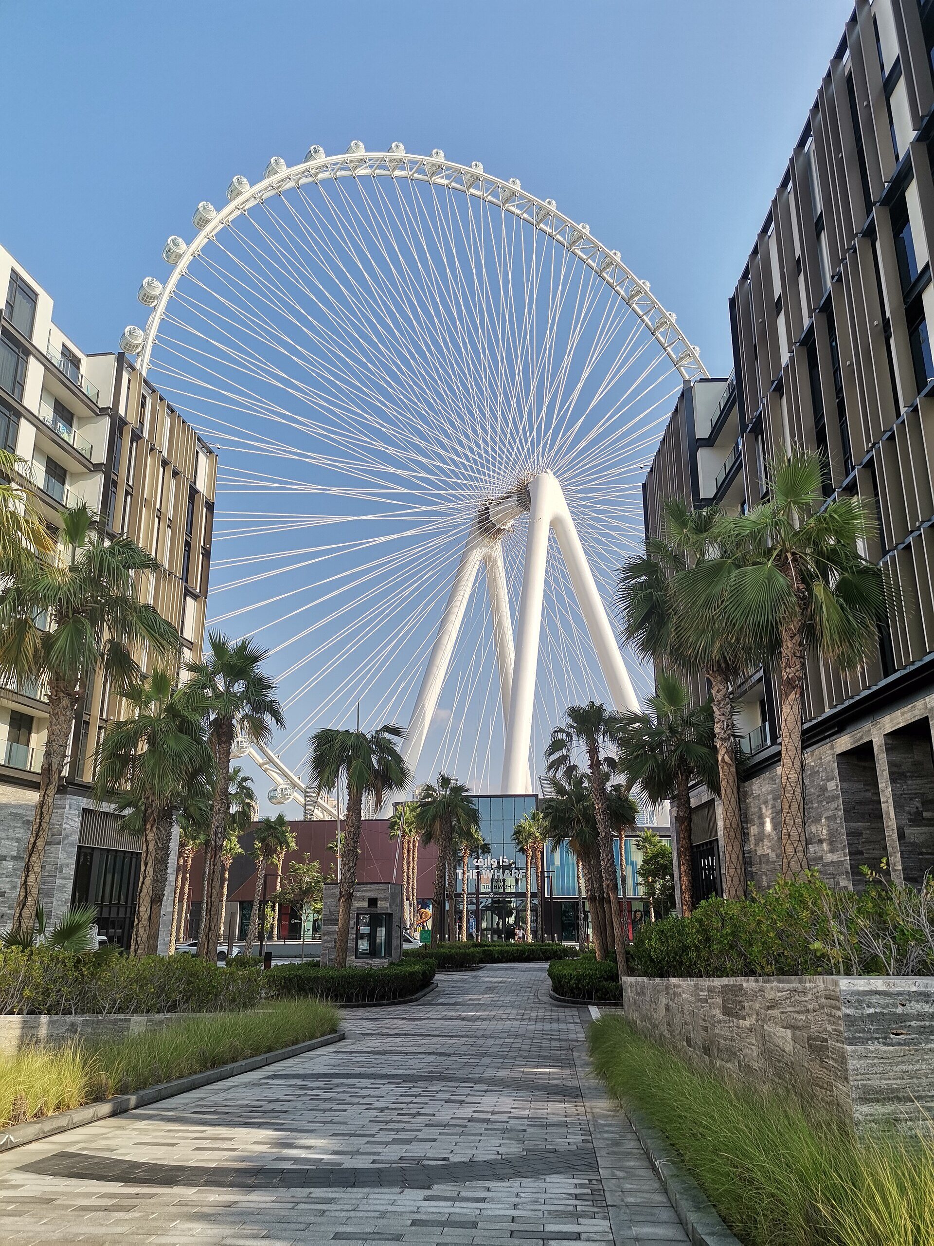 Bluewaters Island and Ain Dubai