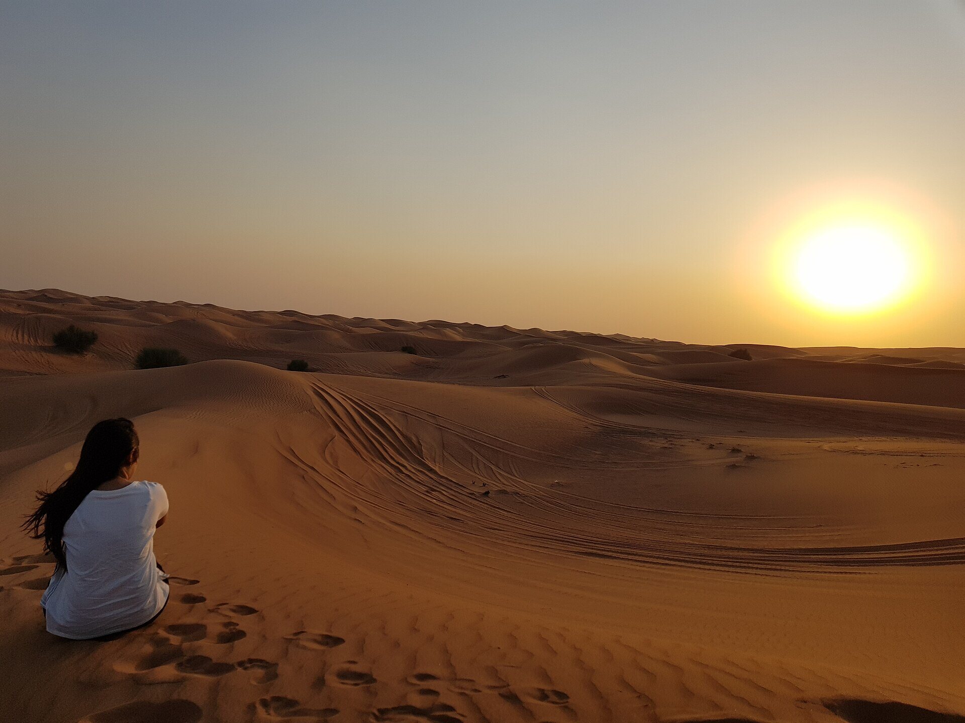 Desert sunset