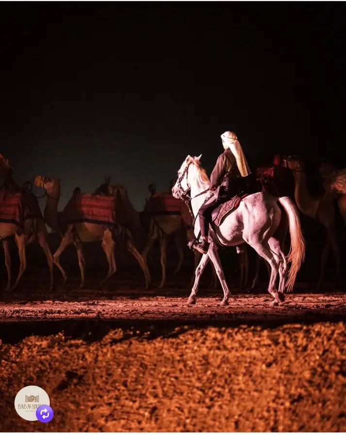 Horse rider at the desert venue after dark