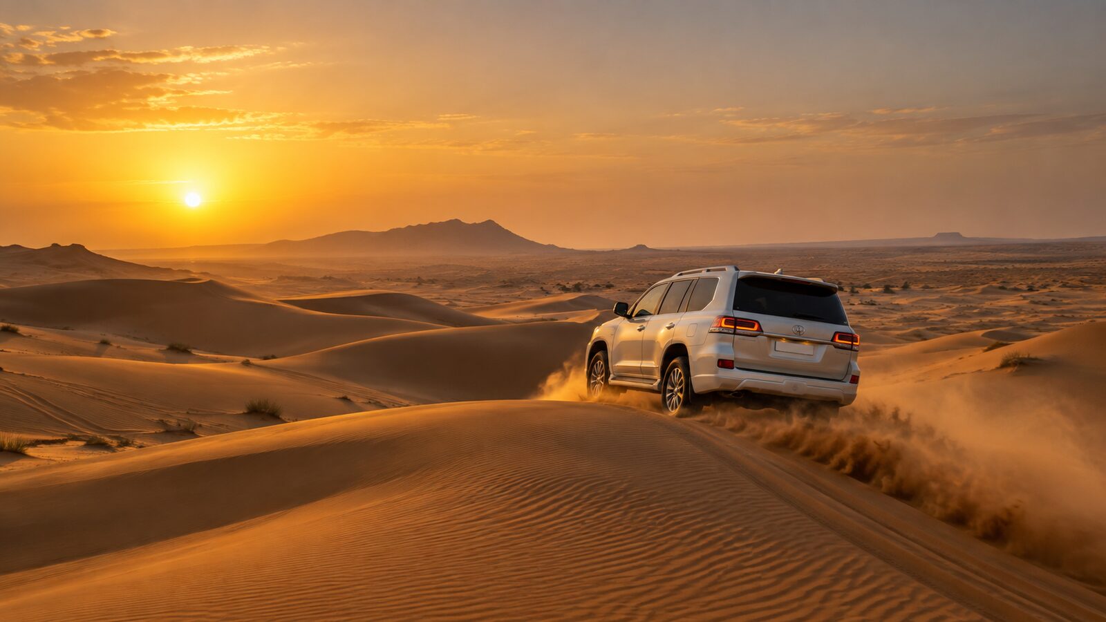 Private Standard Desert Safari with Dinner